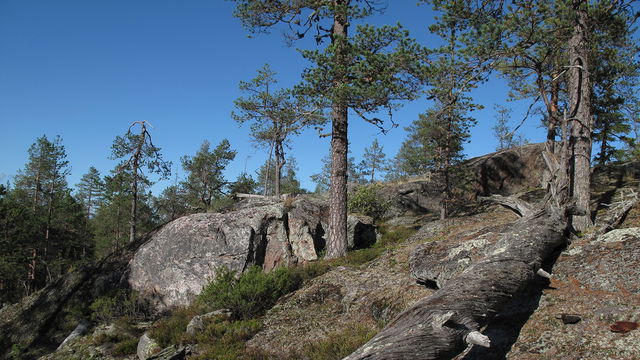 Tällberget