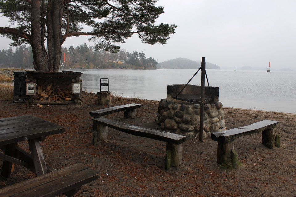Eldplats med bänkar, bord och vedhus.
