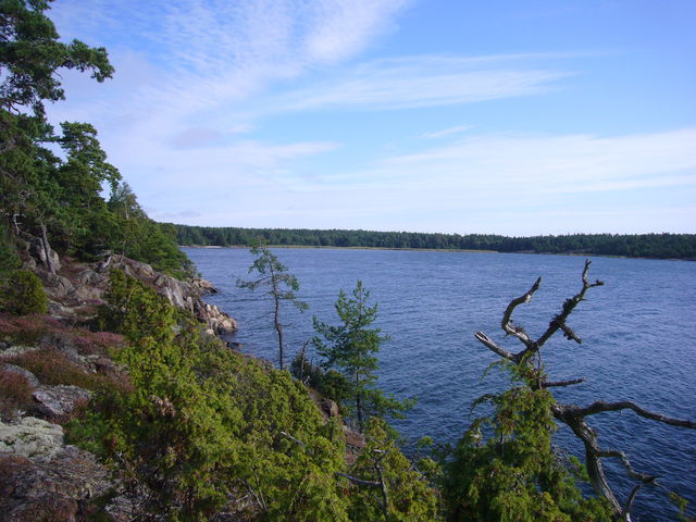 Järflotta