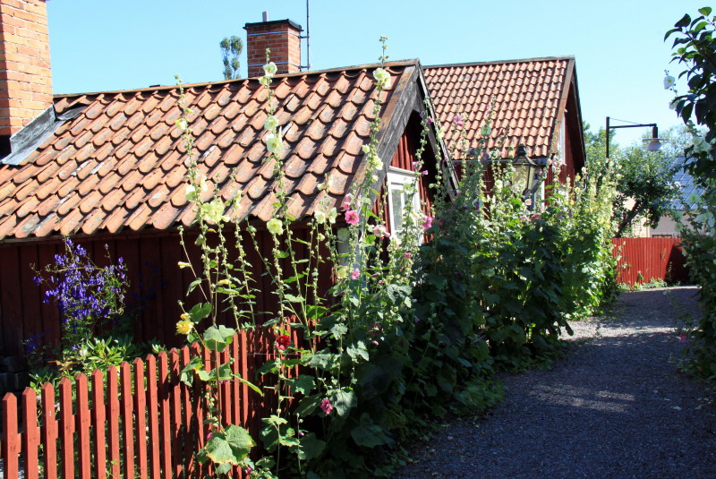Hus med stockrosor i drothemskvarteren