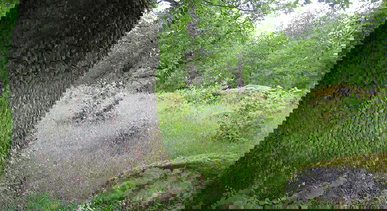 Fotograf: Malin Miller