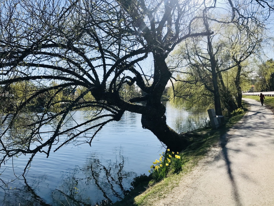 Foto: Sofia Lindgren