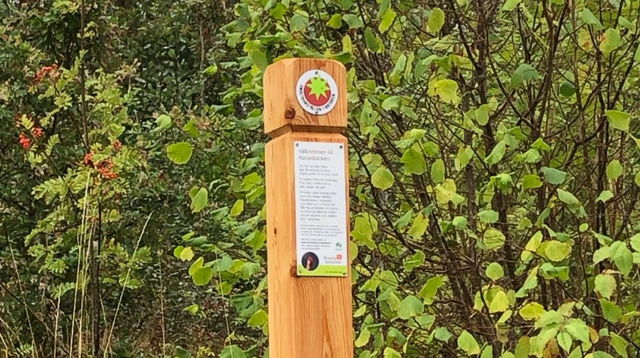 Entré, smultronställe Hasselbacken