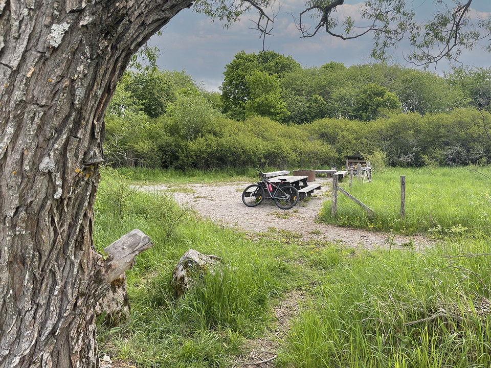 En cykel står lutad mot ett picknickbord vid en grillplats.