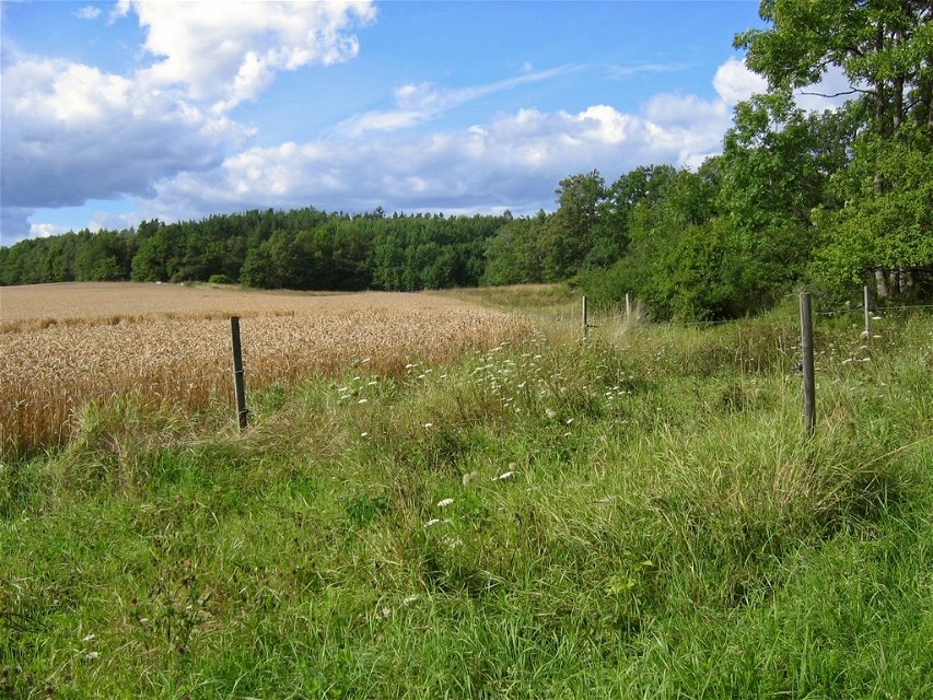Varierat odlingslandskap på Eldgarnsö