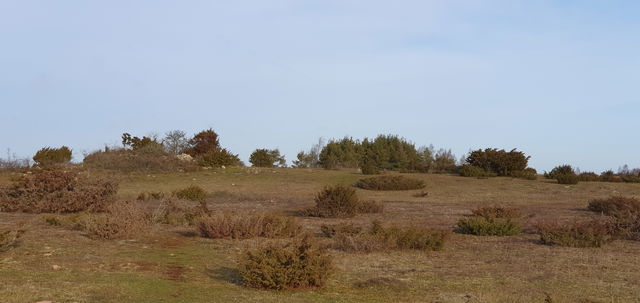Örnkullen