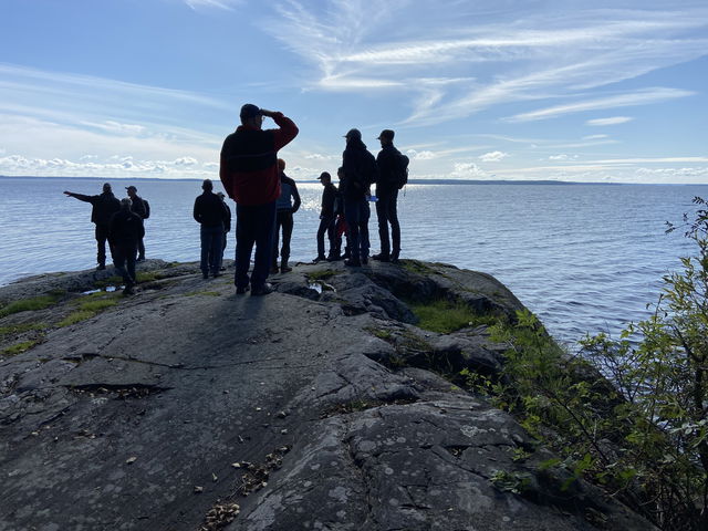 Härjaröuddslingan, Härjarö