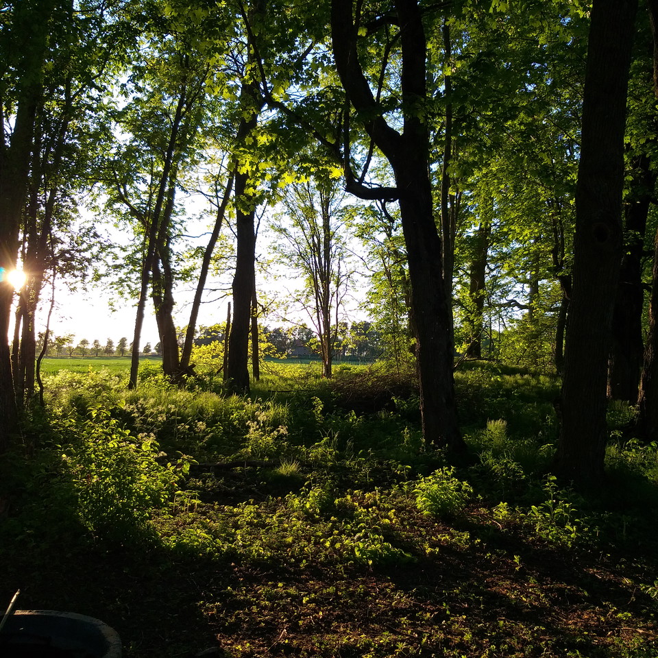 Naturstig Kristinehamn