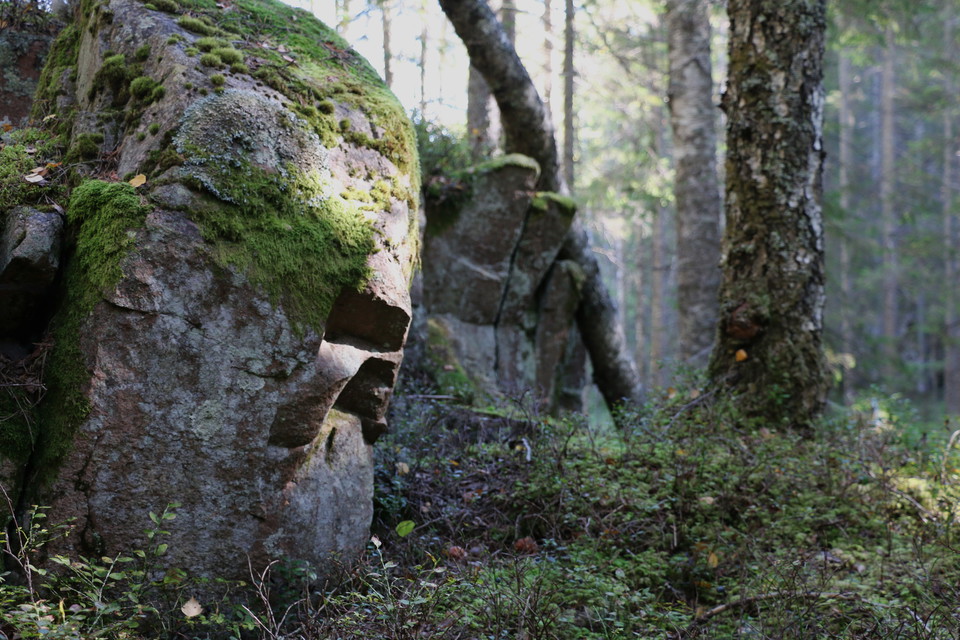 Mossbeklädd bergssida.