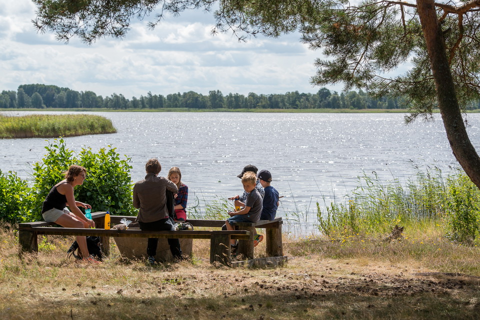Några människor som sitter runt en eldstad intill vattnet en solig sommardag.