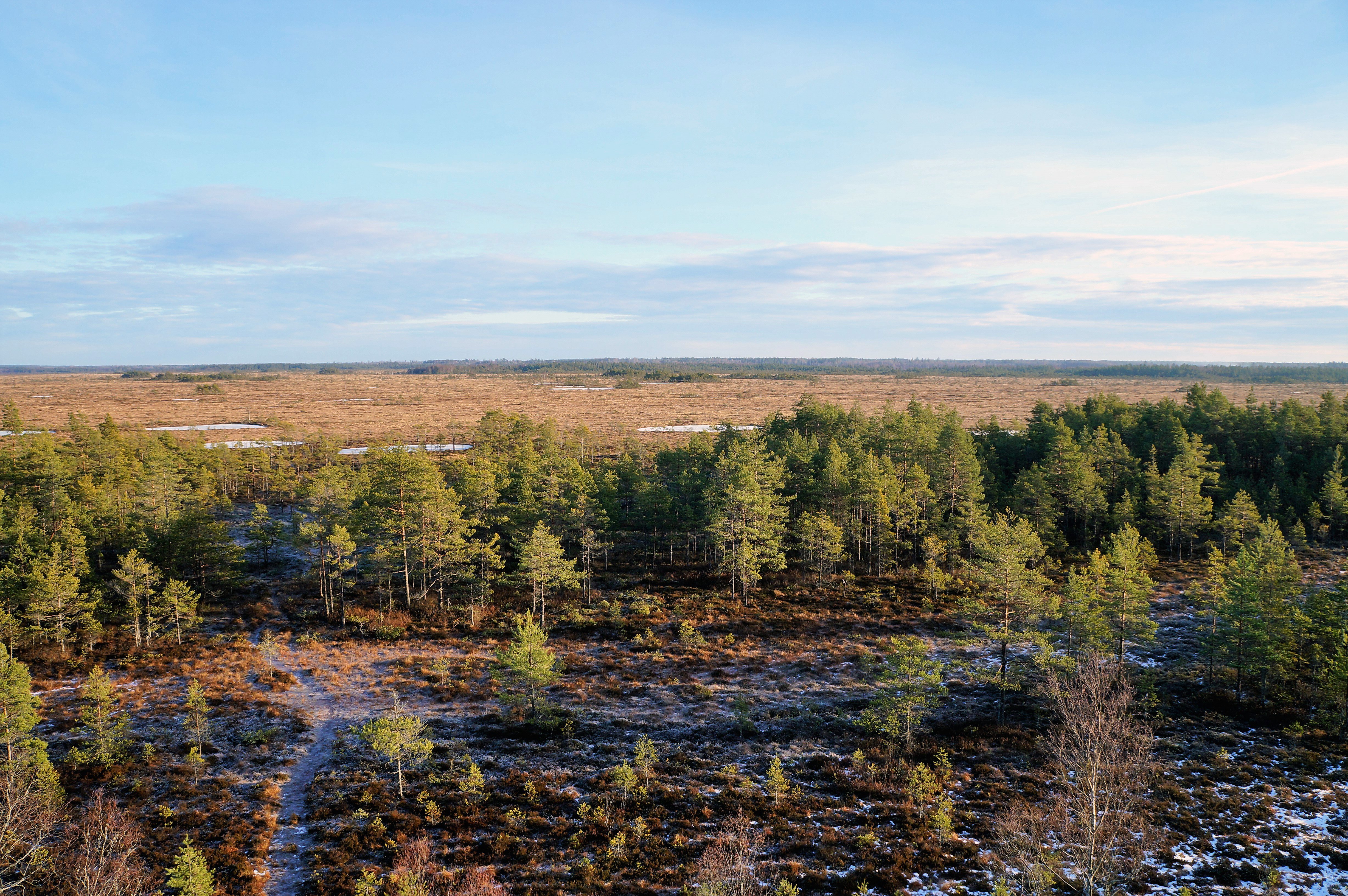 Utsikt över den nästintill oändliga Skagerhultsmossen. Foto Christina Söderberg