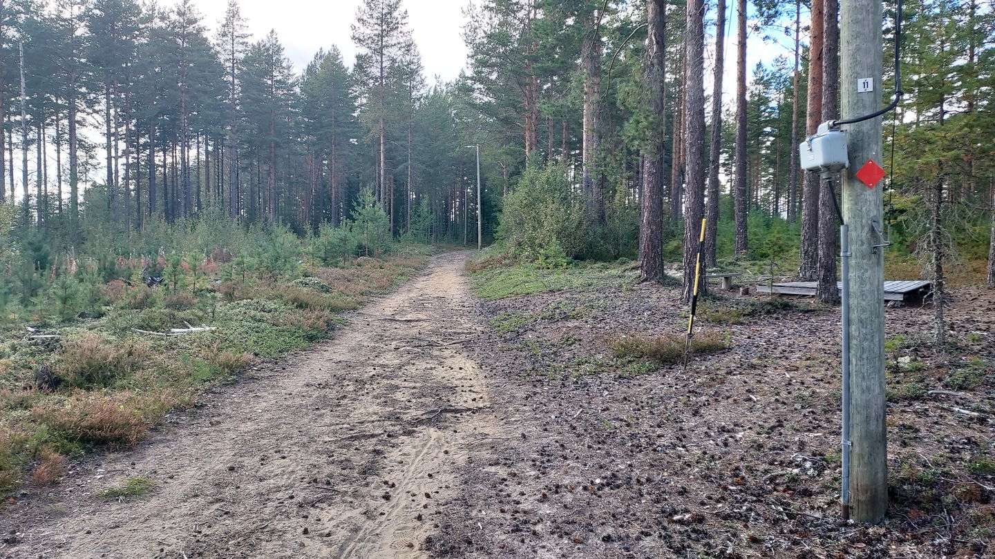 Elljusspåret i Valla, Färila