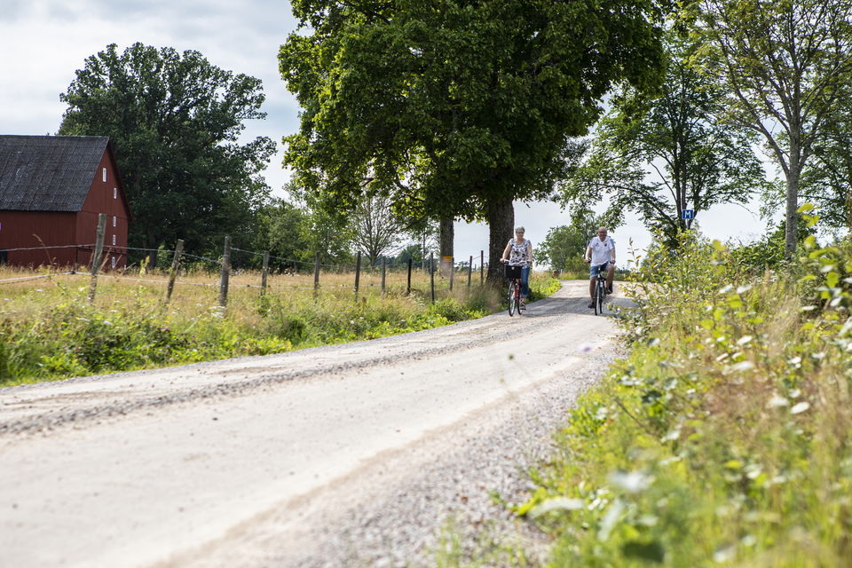 Två cyklister cyklar på en somrig grusväg förbi en ladugård.