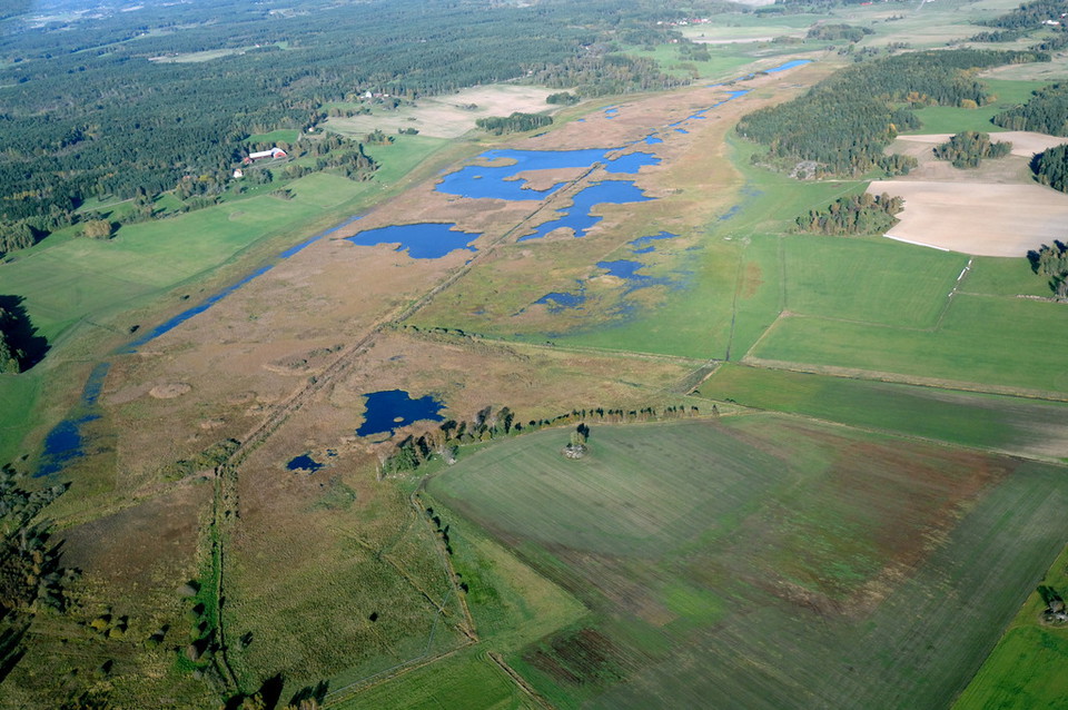 Flygbild över Angarnssjöängen.