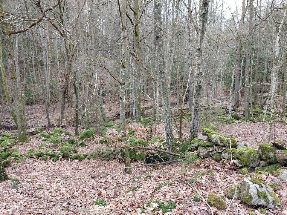 torpinäga.