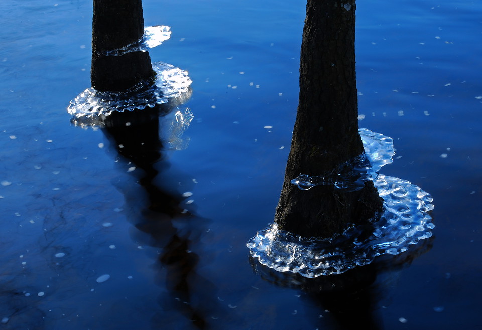 Fotograf: Tobias Ivarsson