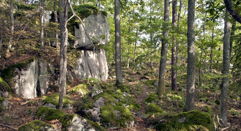 Borgarmon, Naturreservat