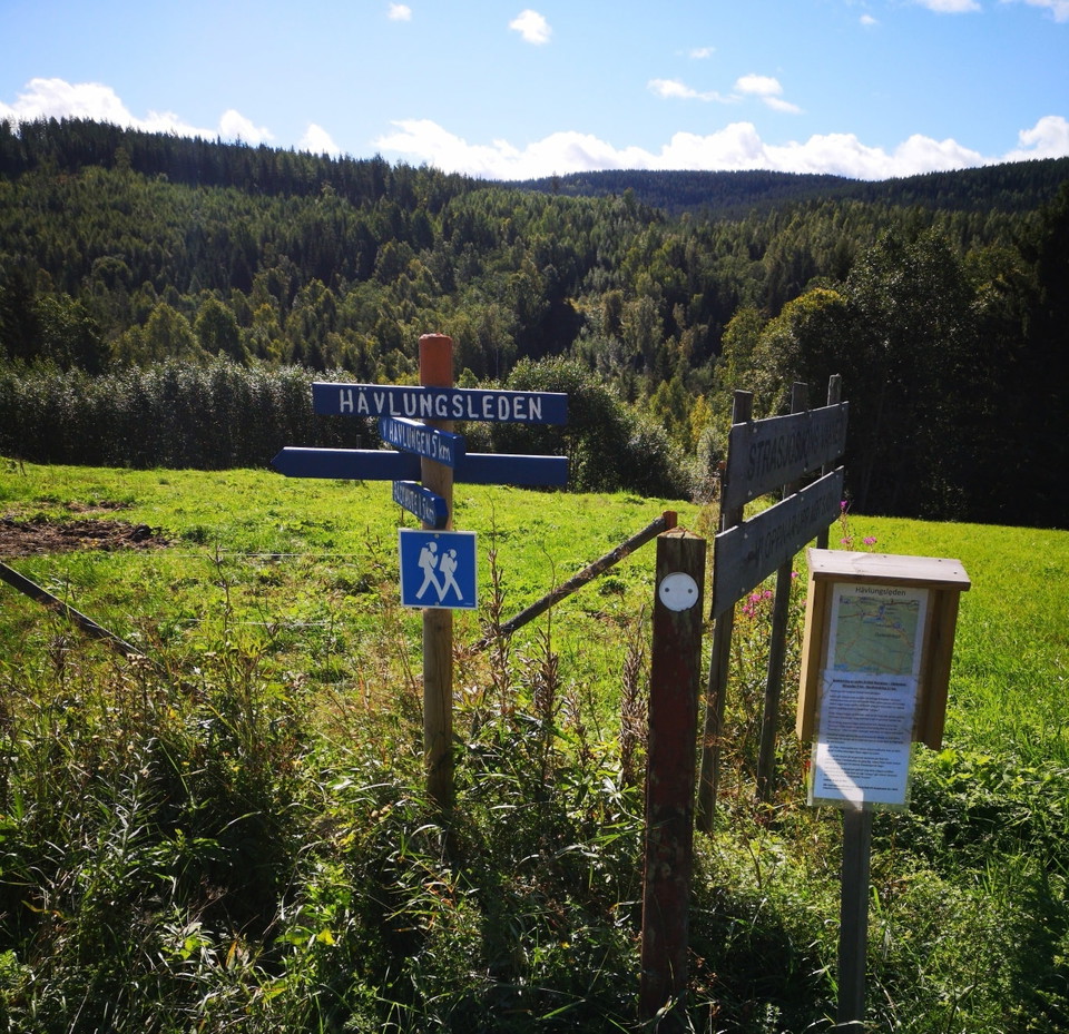 Starten vid rastplatsen efter Svartviksvägen