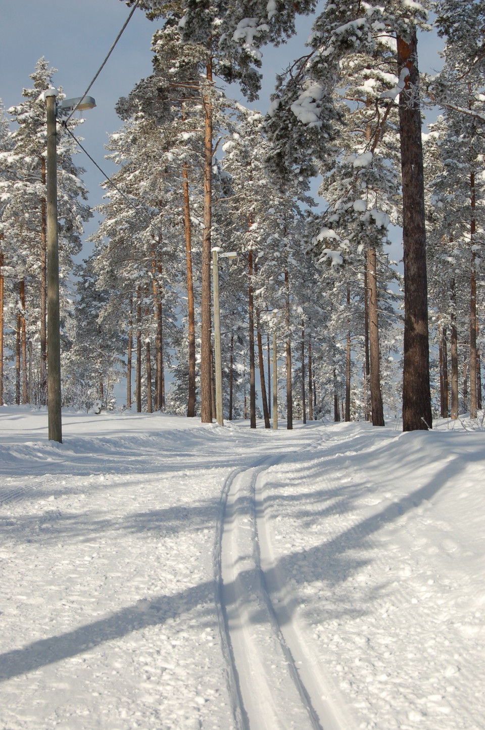 Skidspår