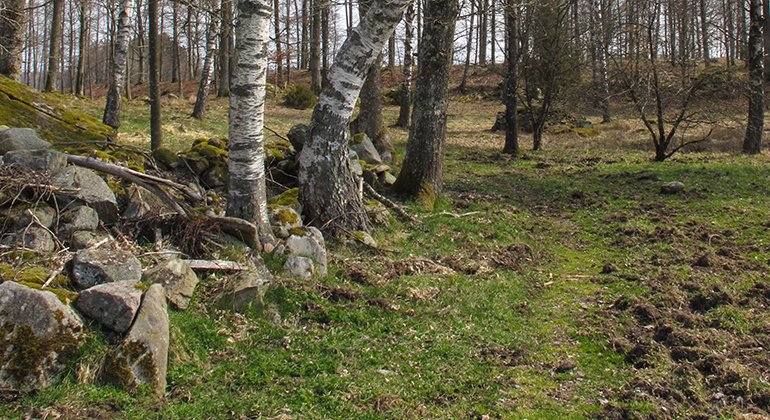 Grönvik, Naturreservat
