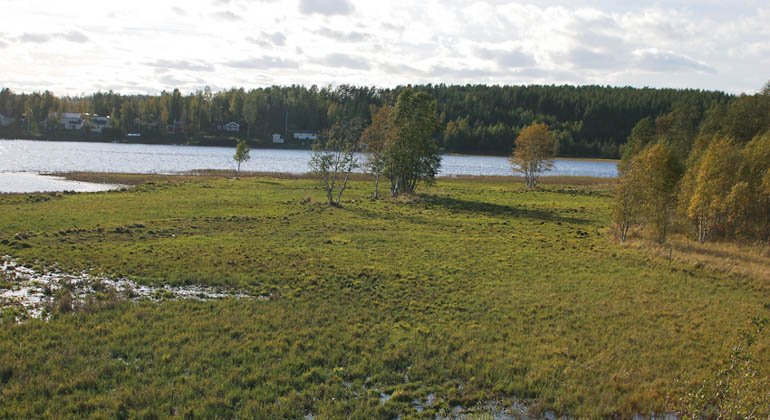 Idbyfjärdens naturreservat.