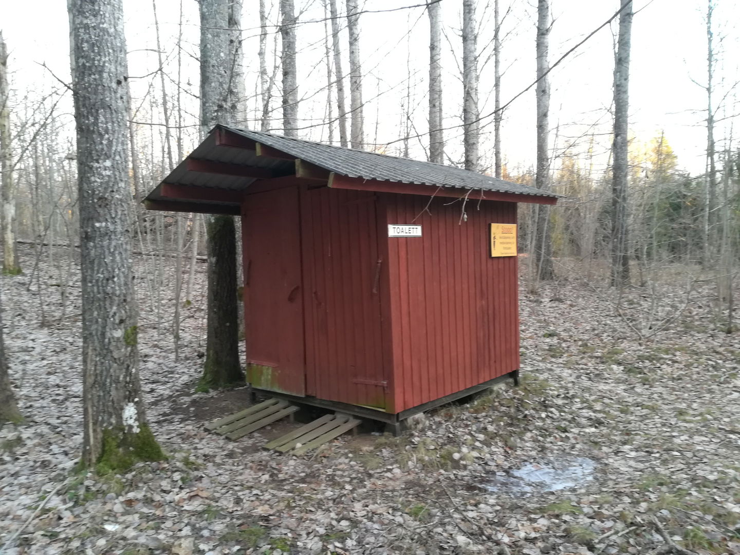 torrdass exteriört