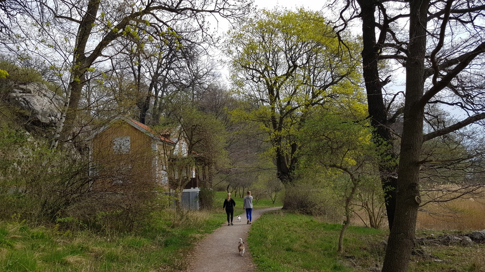 Promenadstig vid torpet Öskure. Foto Lidingö stad