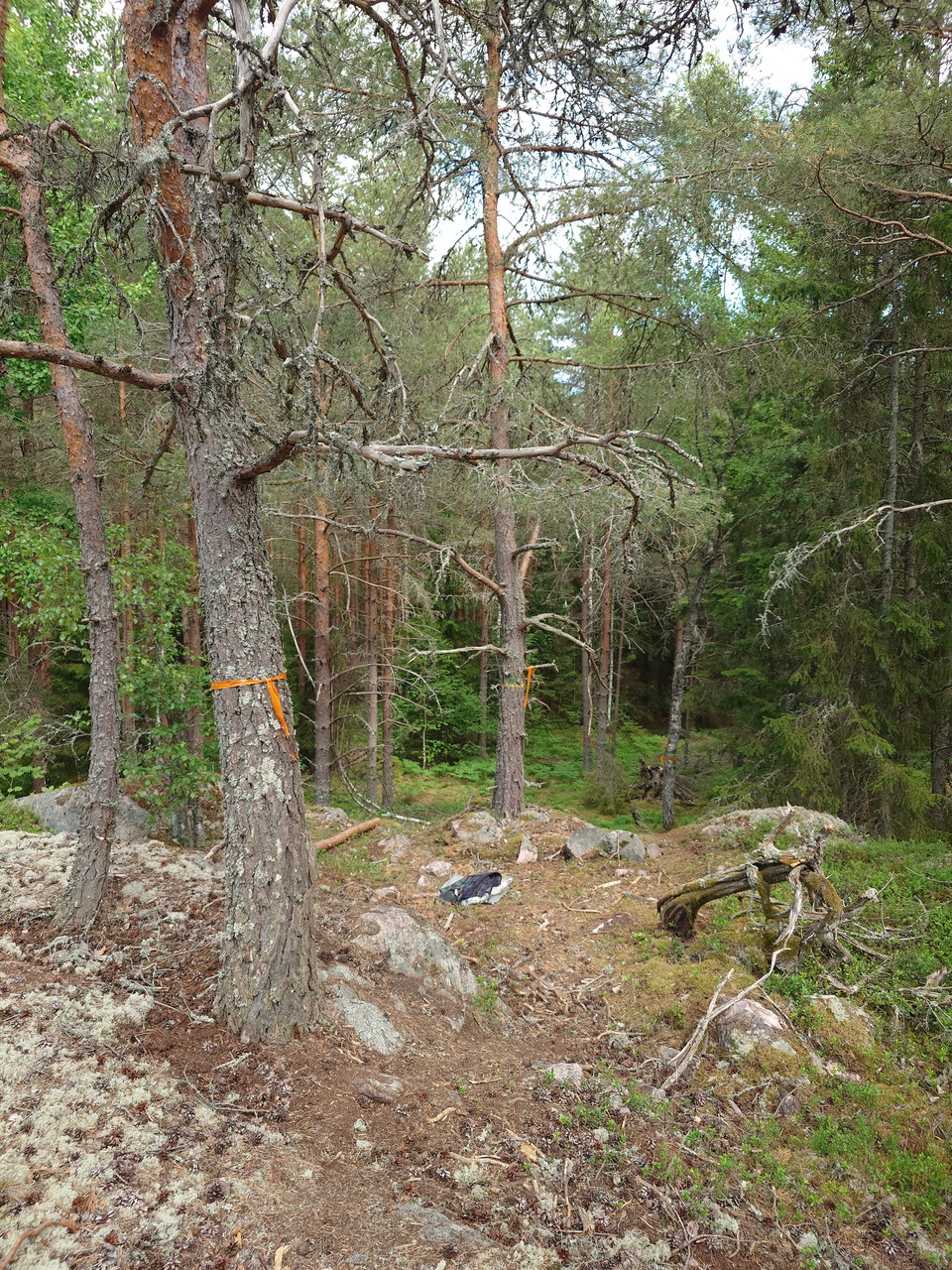 Den tillfälliga omdragningen av etapp 2 är säkrare och vackrare att gå.