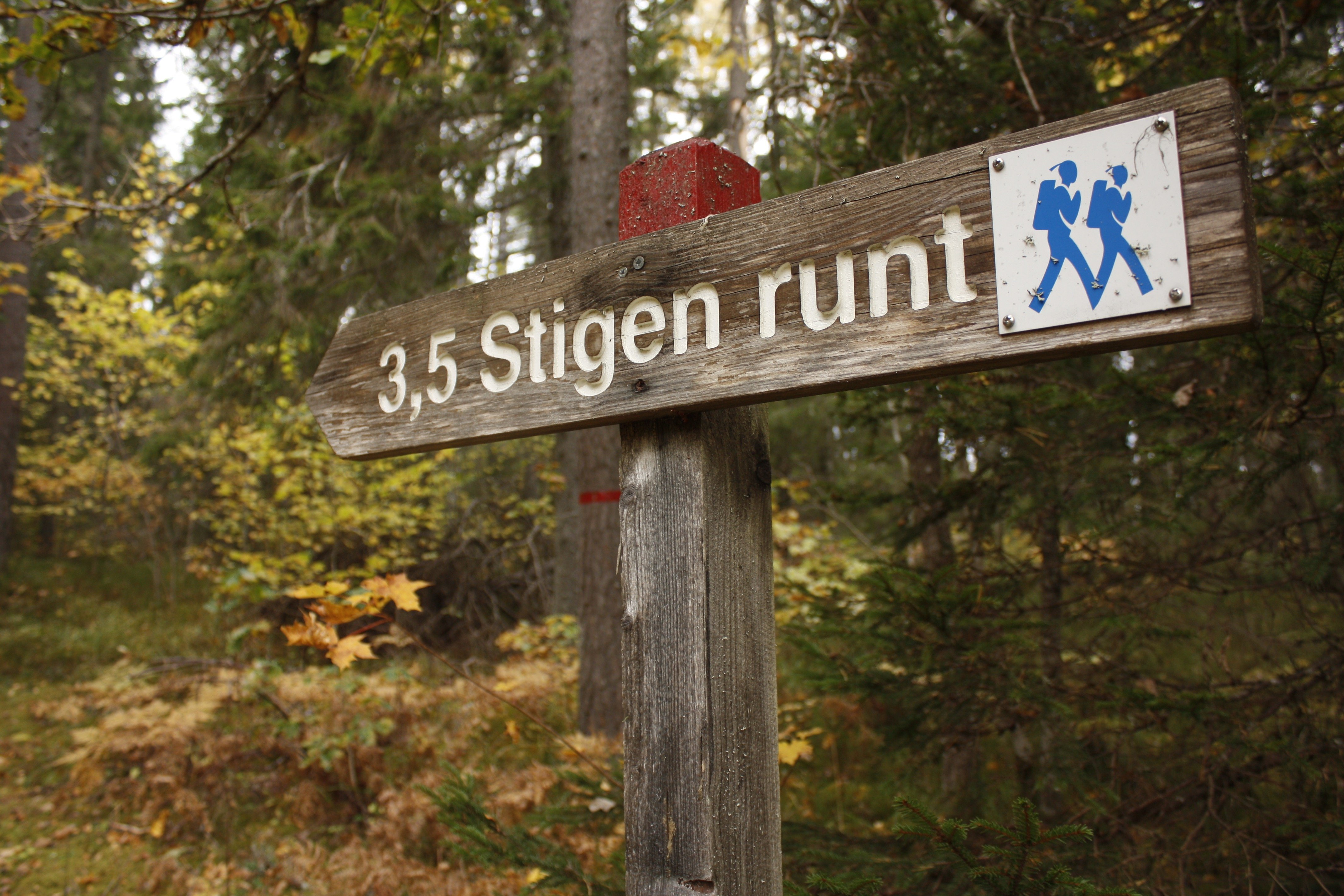 Närbild på en vägvisare i skogen som pekar åt vänster. På vägvisaren står det "Stigen runt" 3.5 kilometer