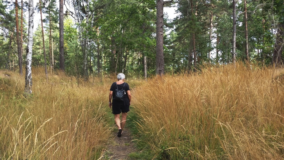 Stig på västra Södergarn. Foto Lidingö stad
