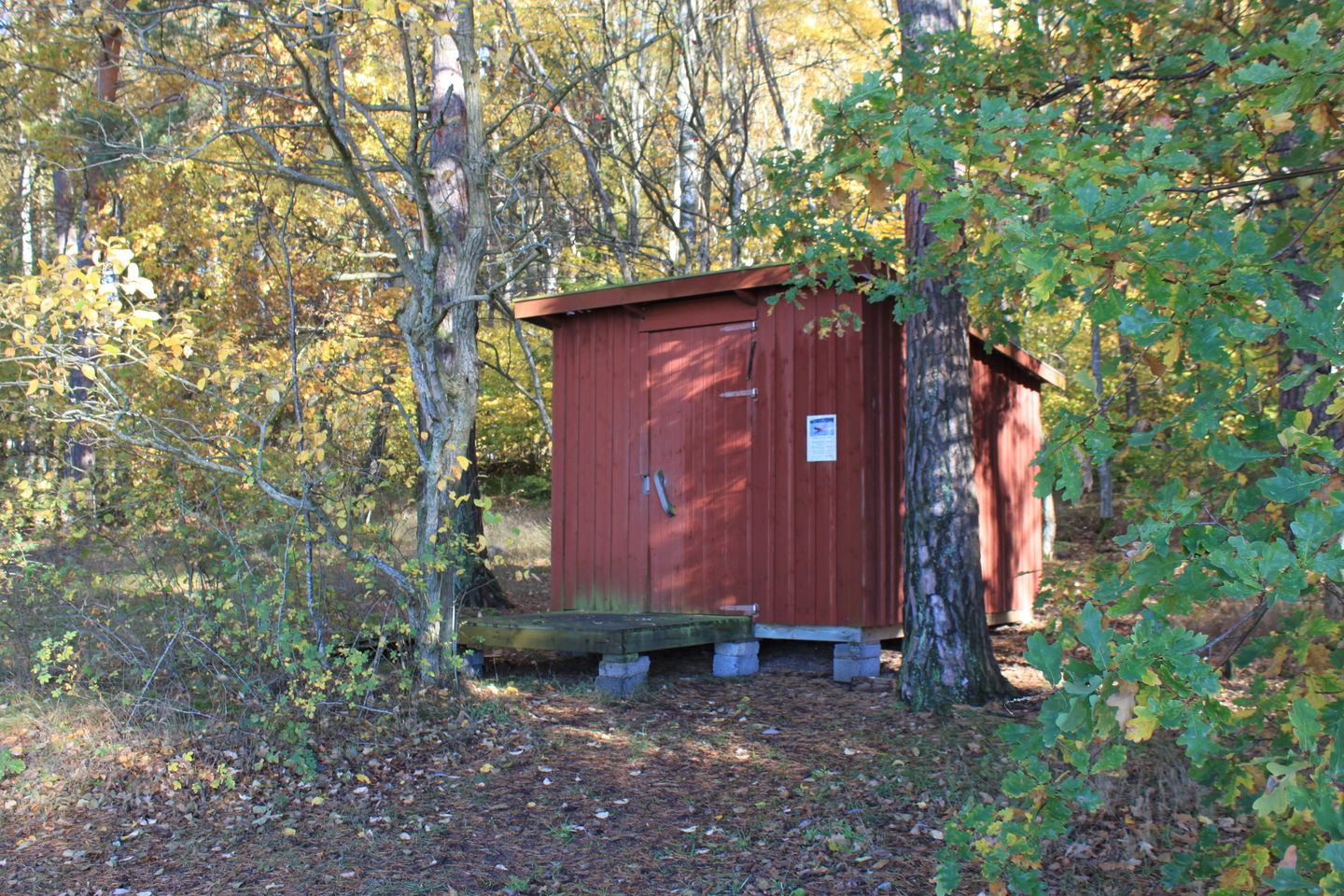 Ett torrdass står mellan trädstammar i naturen. En träplattform står framför ingången till toaletten.