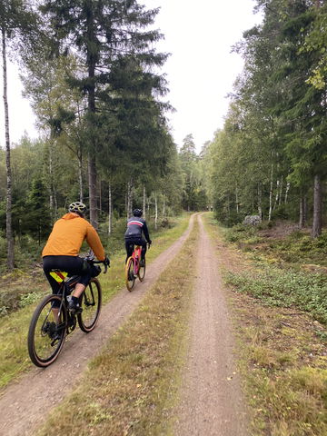Träsländaturen