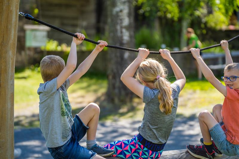 tre barn henger i linen på balansestokken