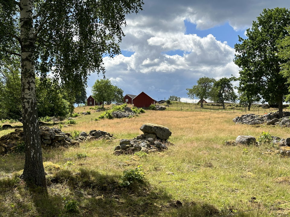 Småländskt kulturlandksap en sensommardag - är bland det finaste som finns. …