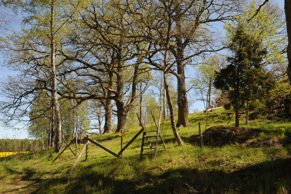 Ekhagen kring berget "Bålaren"