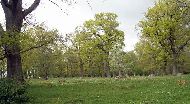 Sköllersta prästäng, Naturreservat