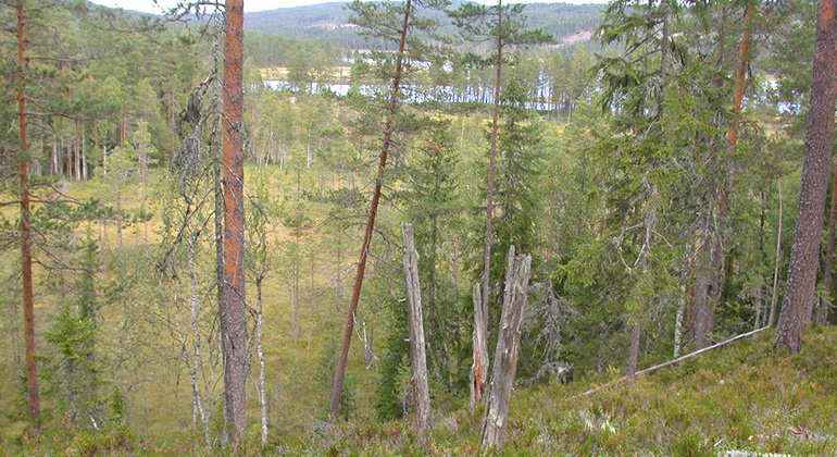 Kullarna, Naturreservat