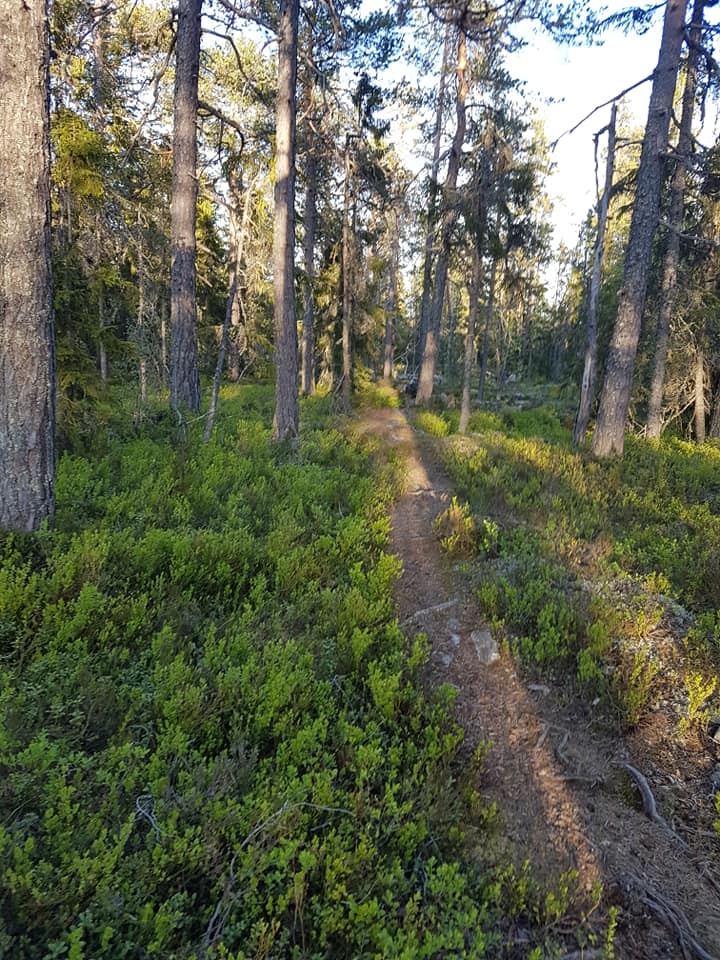 Fina stigar leder till Långmyrberge