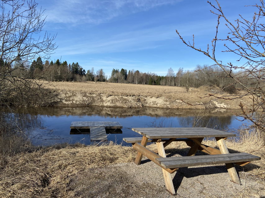 Unungeberg tidig vår. 