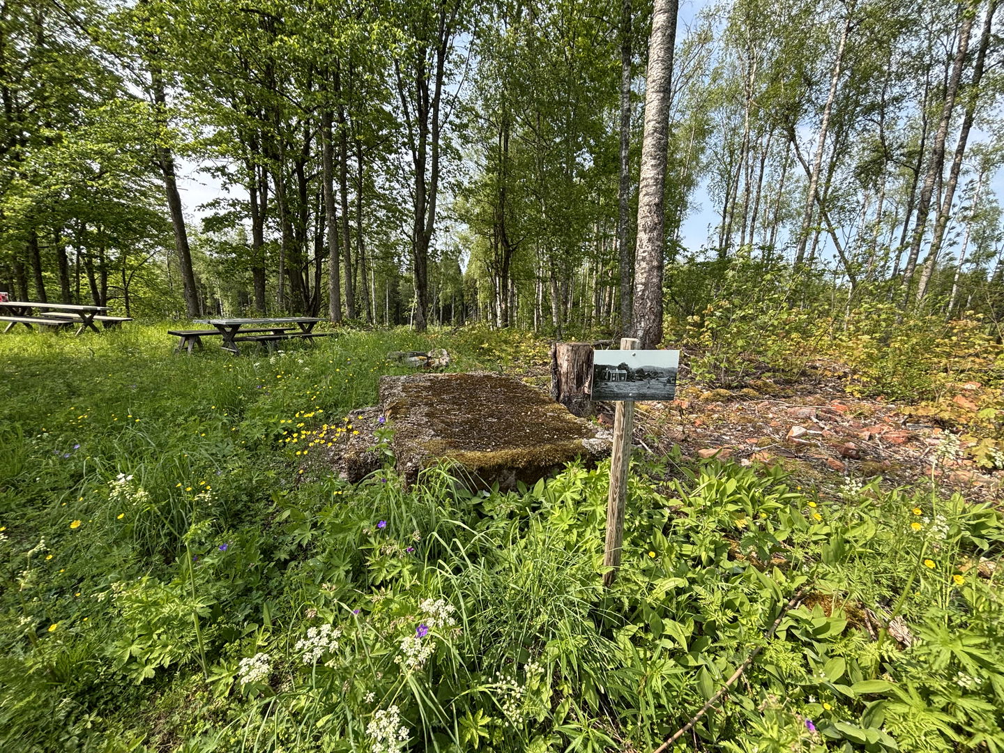 Vy över en av ruinerna samt rastplats