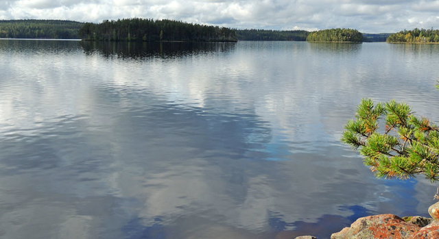 Hornbobrändan, Naturreservat