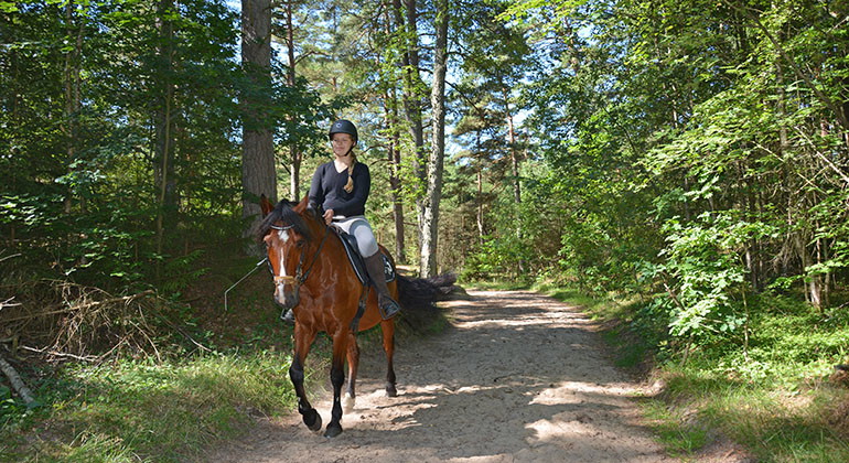 ridled i reservatet