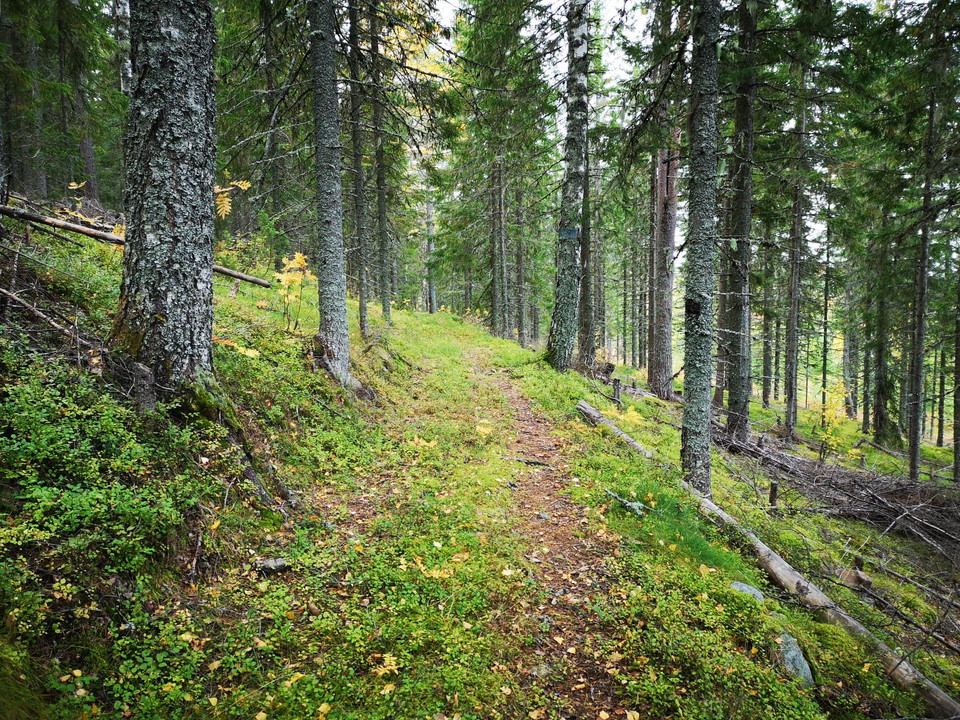 Örvallen - Prästvallen - Julingvallen - Örvallen