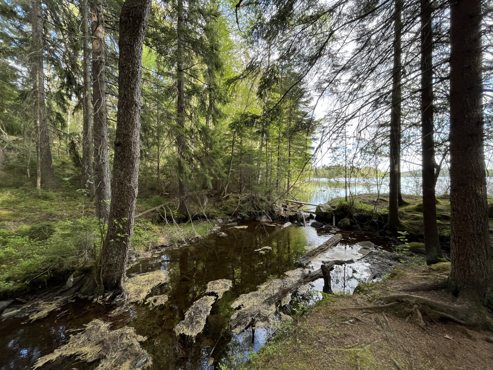 Vy över fördämning