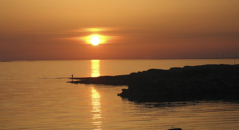 solnedgång