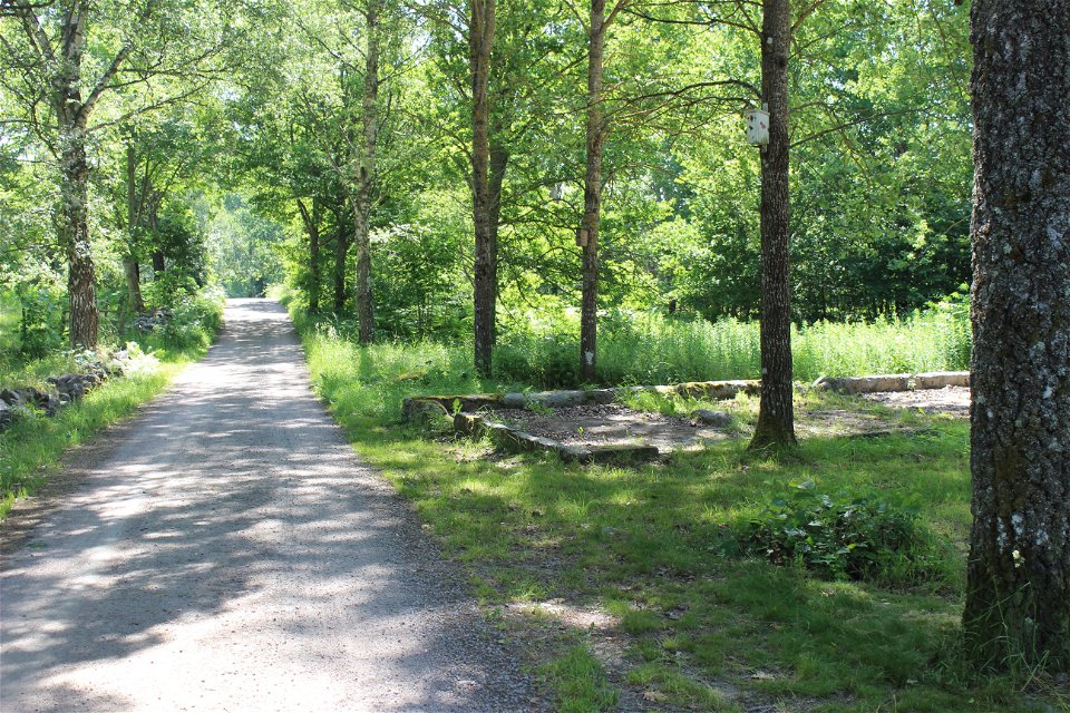 Teleborgs naturreservat