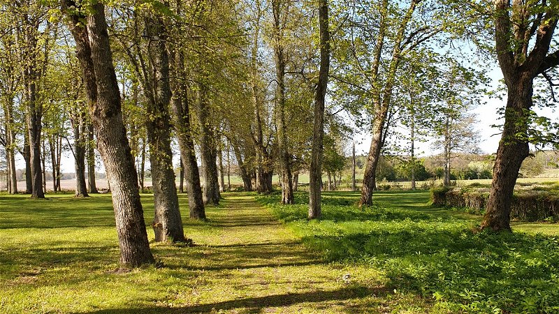 Värmlands Säby naturreservat