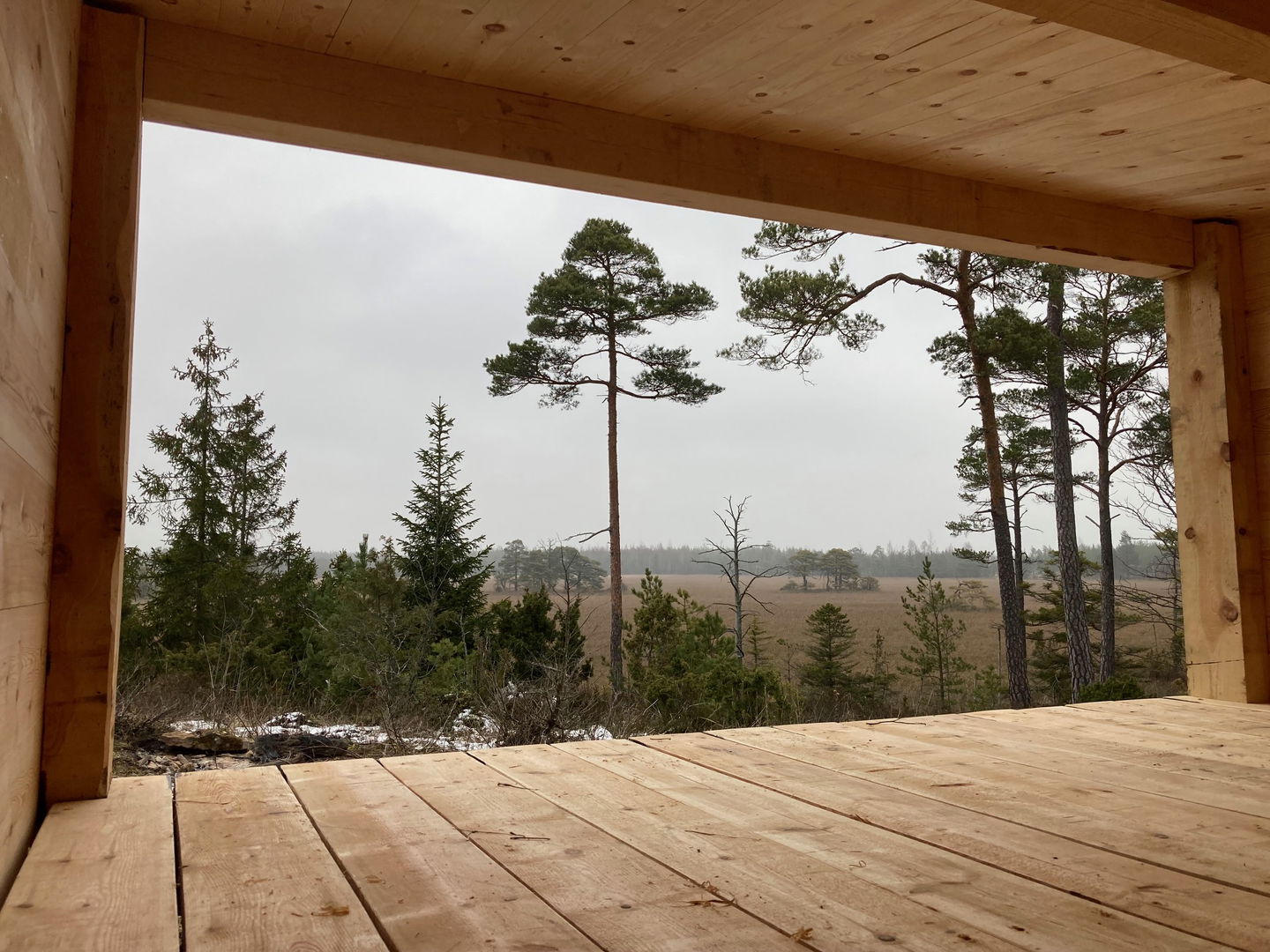Utsikt från vindskydd. Skogsmiljö