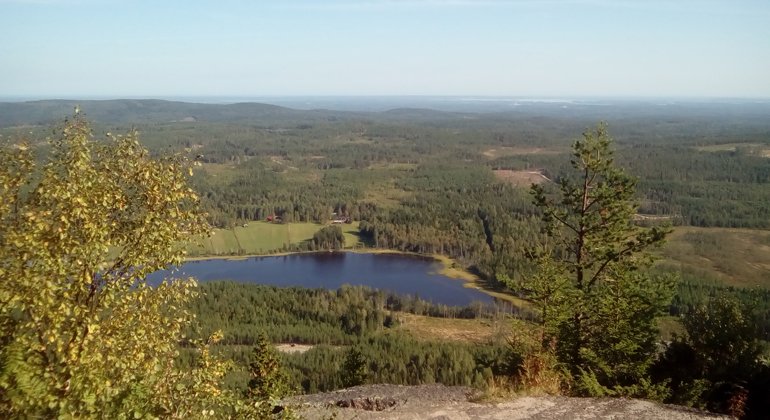 Utsikten från toppen av Blacksås mot öster.