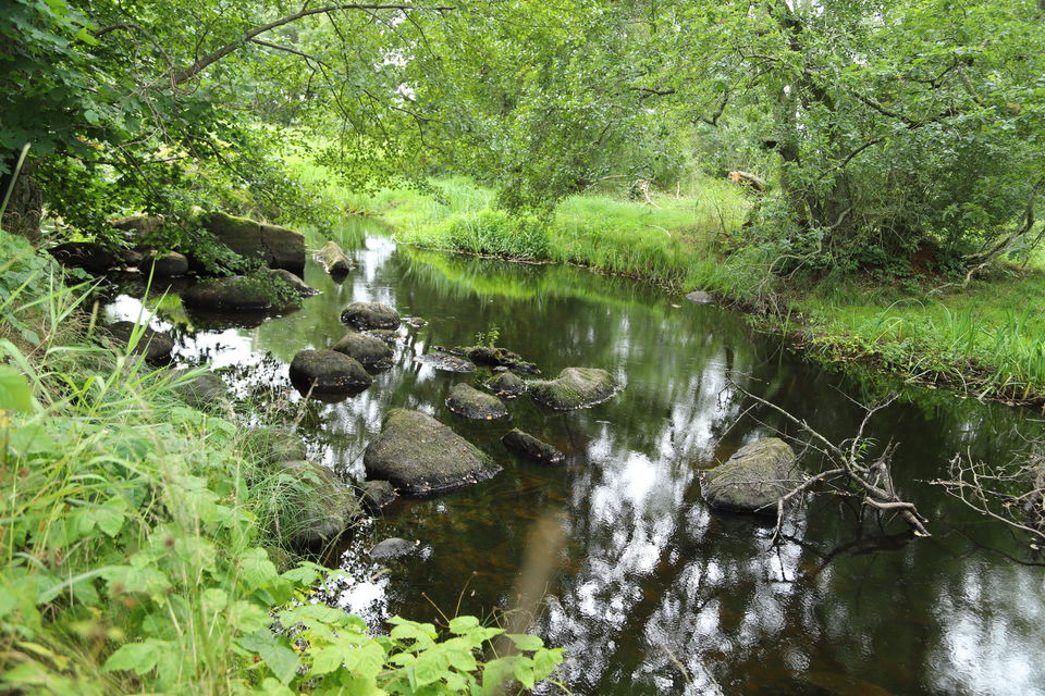 Hagbyån
